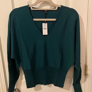 Express Deep Teal V-Neck Sweater